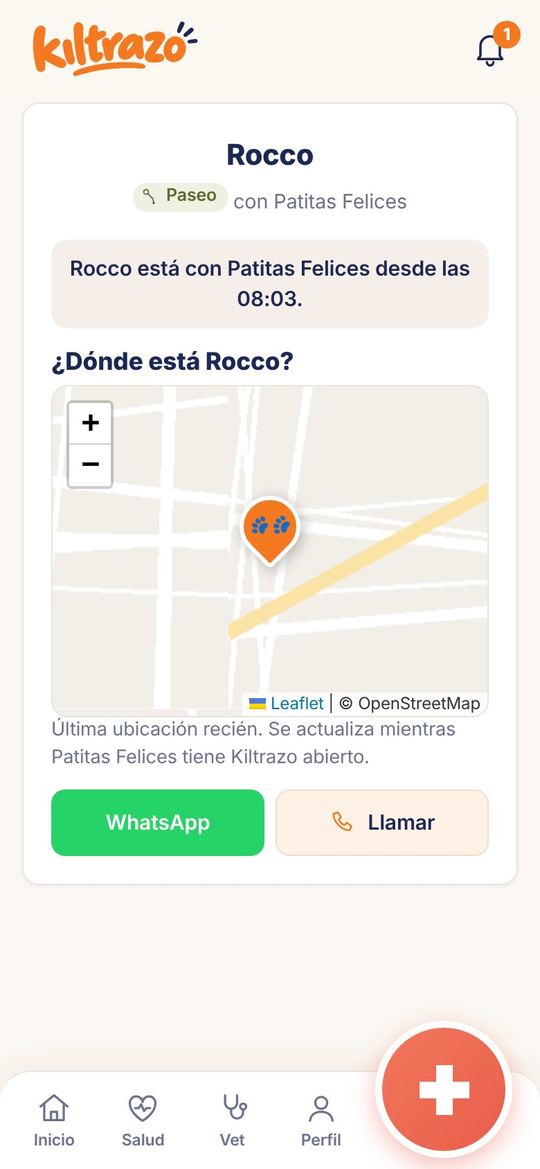 El tutor ve dónde está su perro durante el paseo
