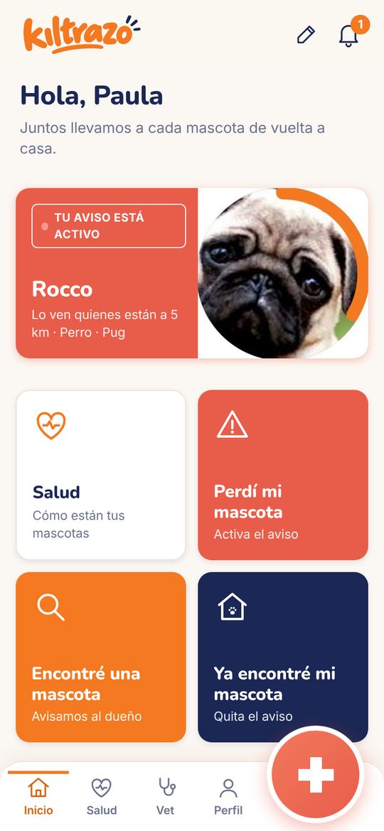 Aviso de mascota perdida cerca en Kiltrazo