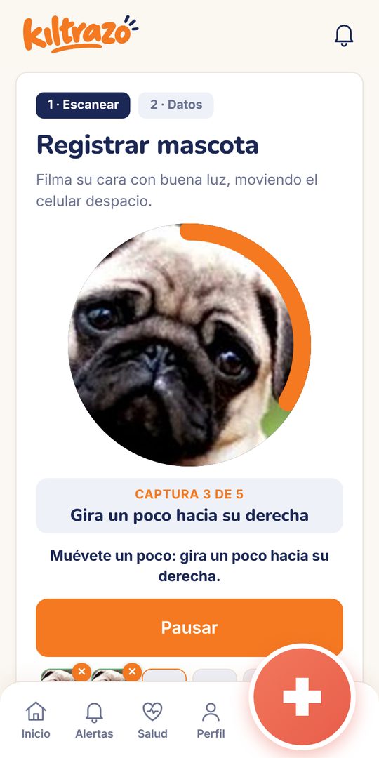 Registro de la cara de un perro en Kiltrazo